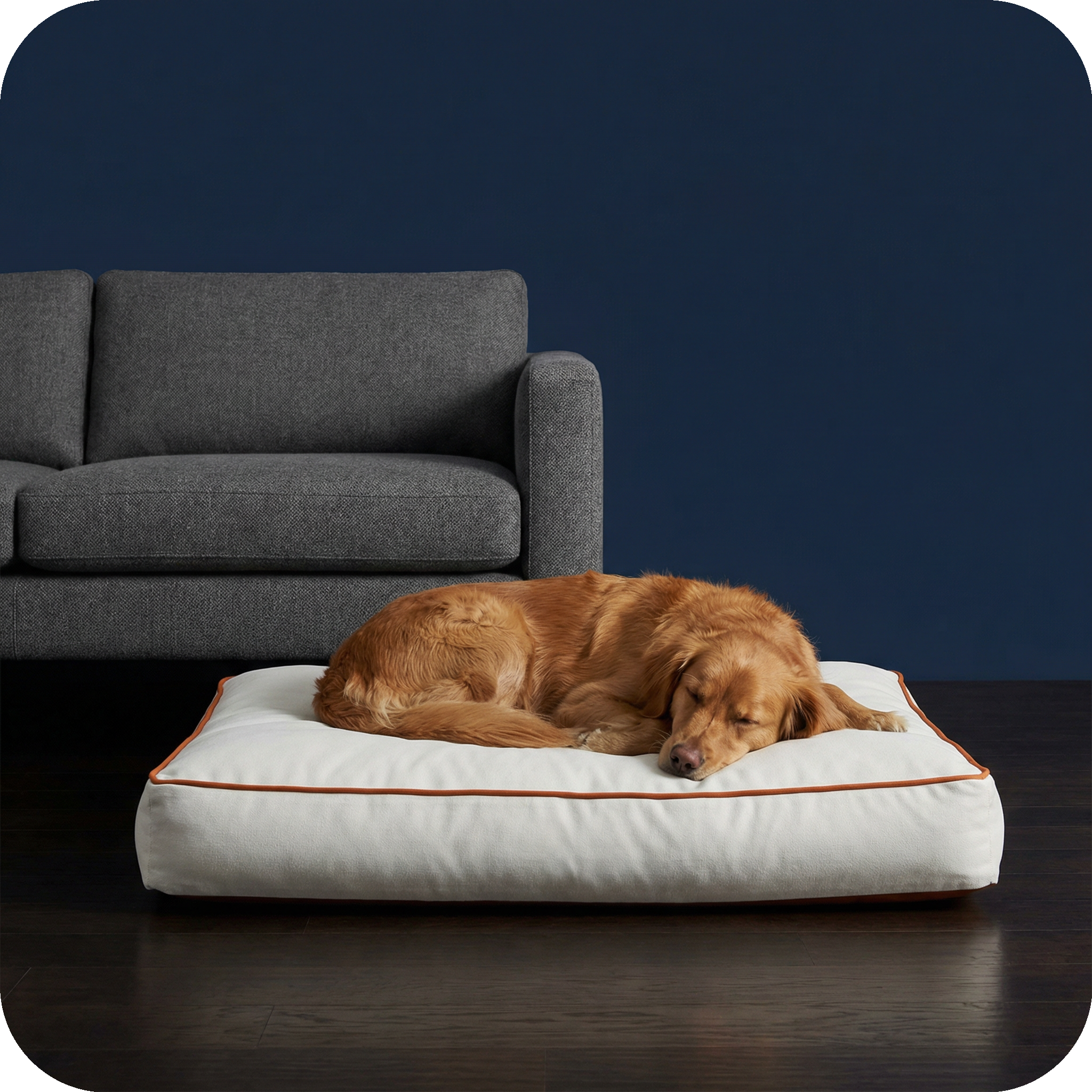 how to keep dogs off the couch