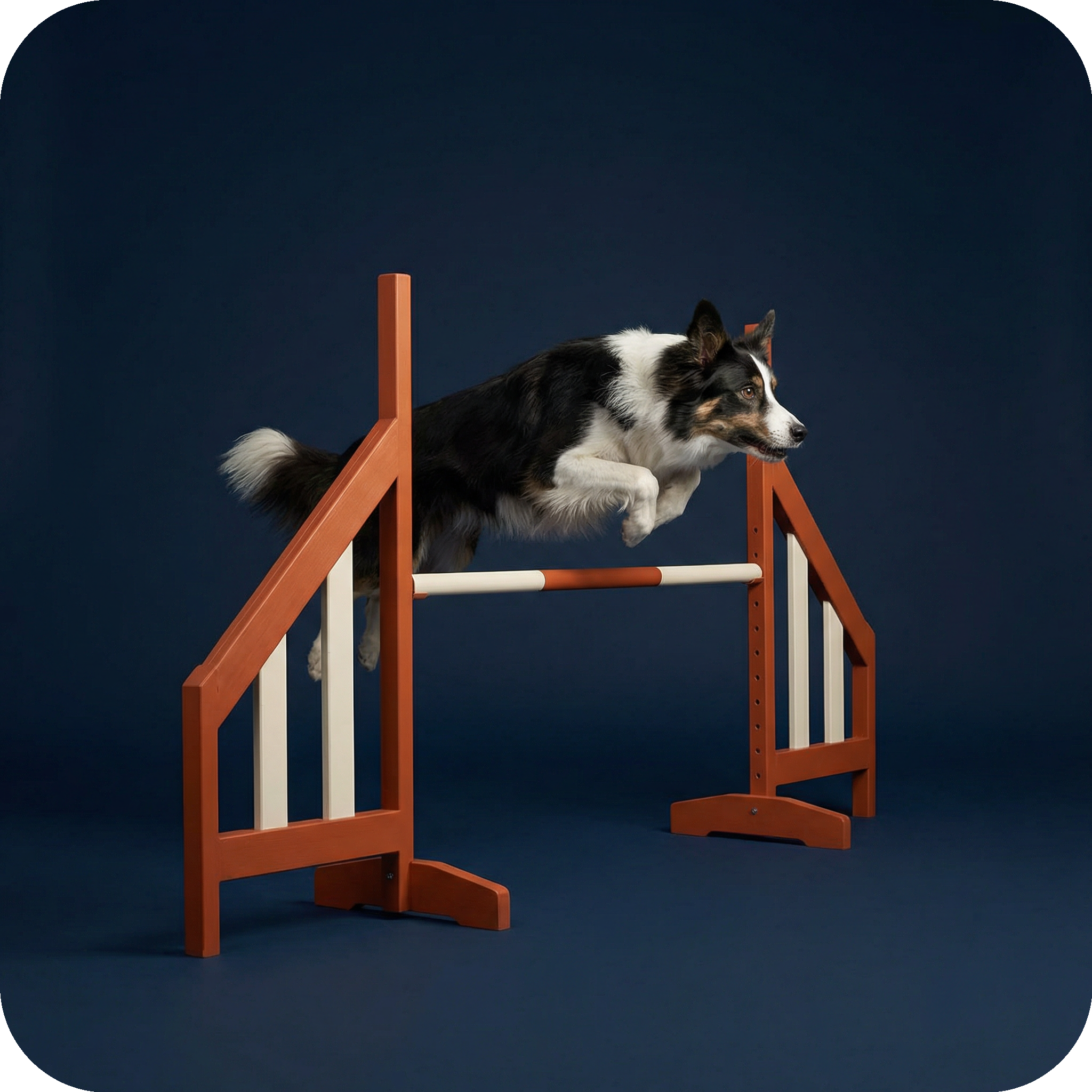 Types of Dog Training Classes