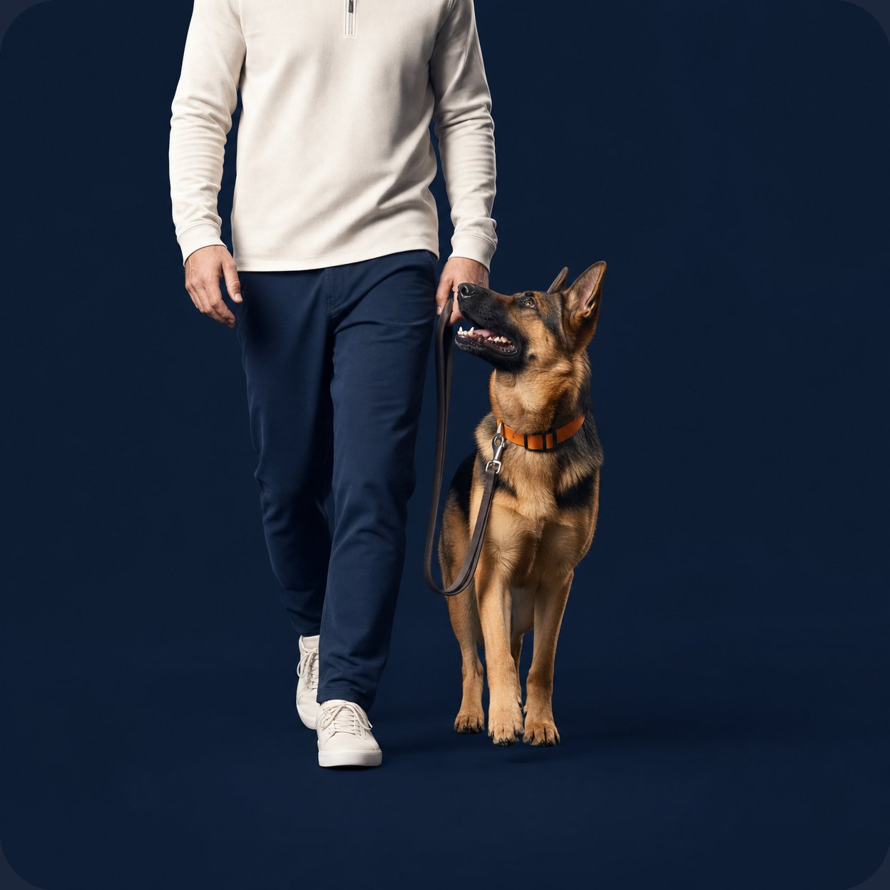 How to Teach a Dog to Heel